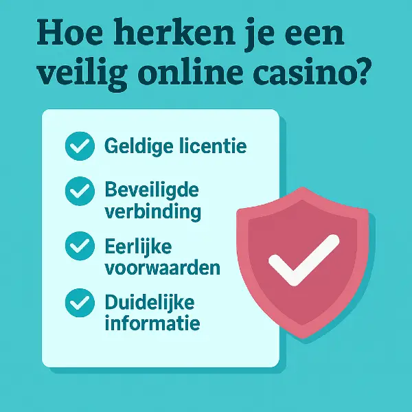 checklist met veiligheidspunten betrouwbaarheid buitenlandse aanbieders