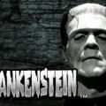 Frankenstein levert een bierkoelkast op het werk op!