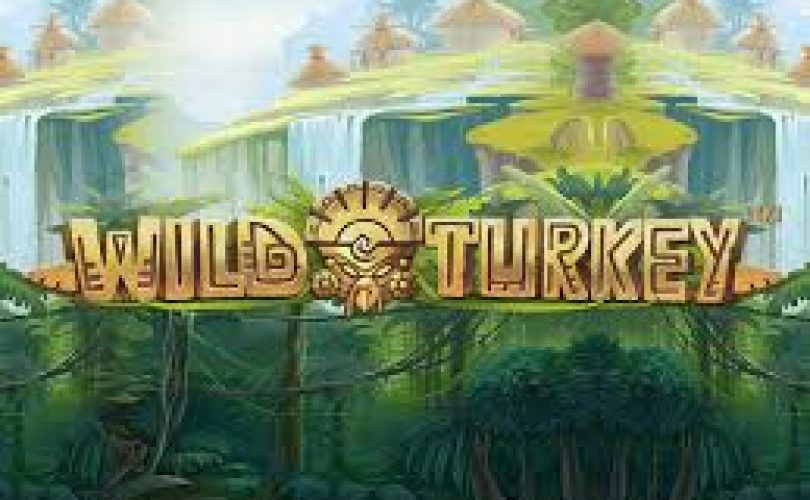 Wild Turkey