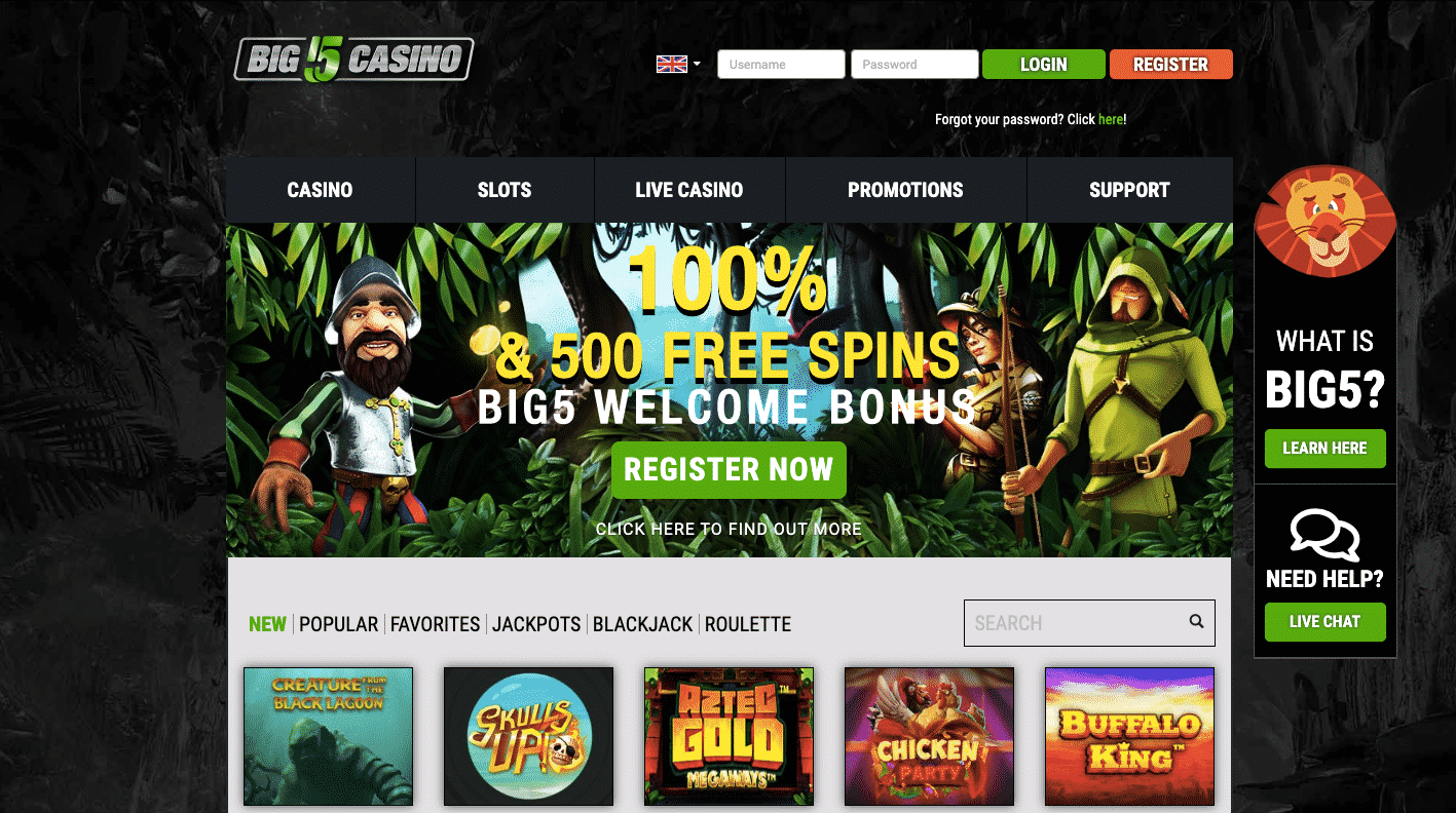 Big 5 screenshot homepage