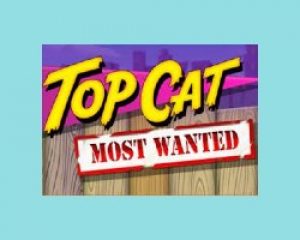 achtergrondtopcat2