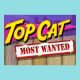 achtergrondtopcat2