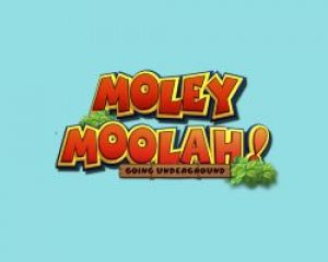 moleymoolahachtergrond