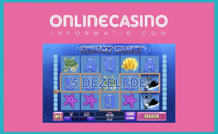 Casino's met hoge variantie