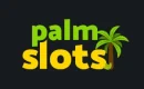 Palm slots casino logo