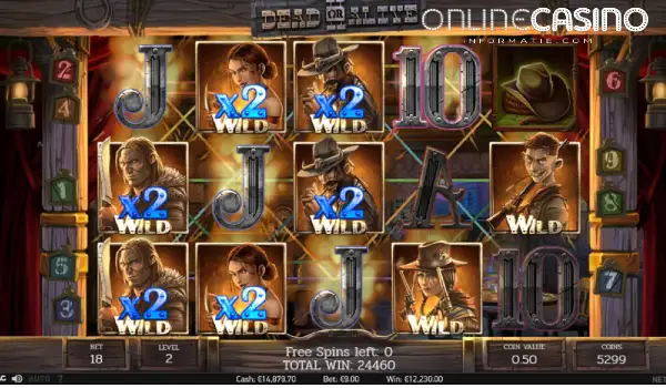 Dead or Alive Gokkast 